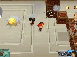 DS Screenshots