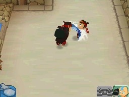 DS Screenshots