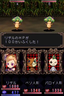 DS Screenshots