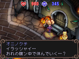 DS Screenshots