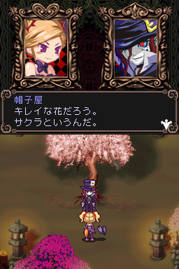 DS Screenshots