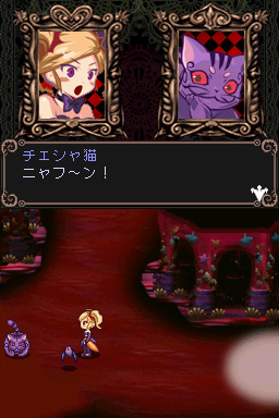 DS Screenshots