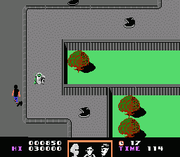 NES Screenshots
