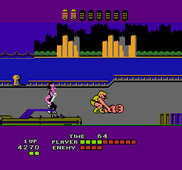 NES Screenshots