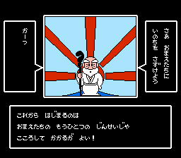 NES Screenshots