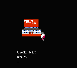 NES Screenshots