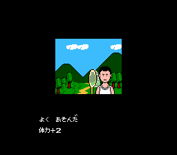 NES Screenshots