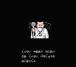 NES Screenshots