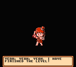 NES Screenshots
