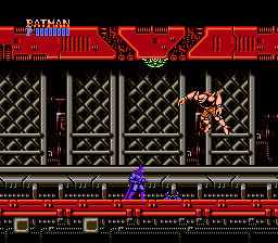 Batman: The Video Game