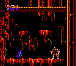 Batman: The Video Game