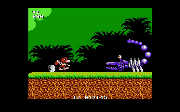 NES Screenshots