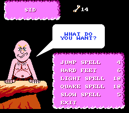 NES Screenshots