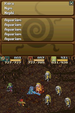 DS Screenshots
