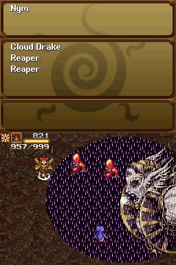 DS Screenshots