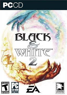 Box Art