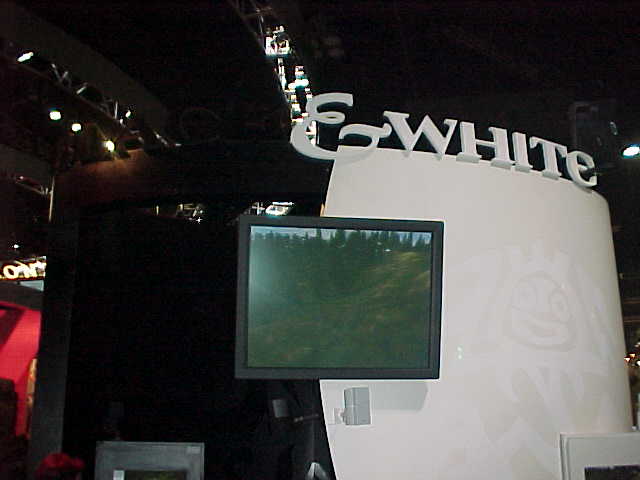 Electronic Arts