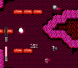 NES Screenshots