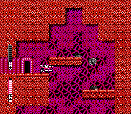 NES Screenshots