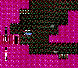 NES Screenshots