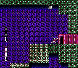 NES Screenshots