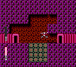 NES Screenshots