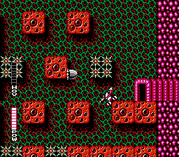 NES Screenshots