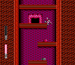 NES Screenshots