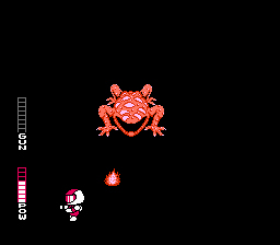 NES Screenshots