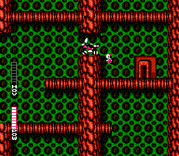 NES Screenshots