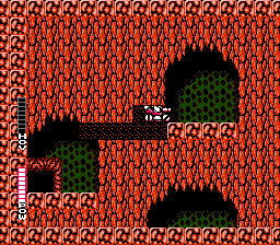 NES Screenshots