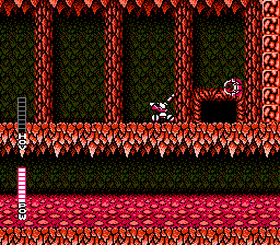 NES Screenshots