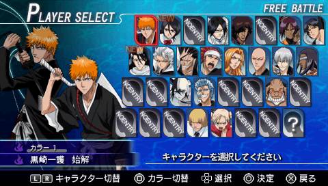 Bleach: Heat the Soul 5