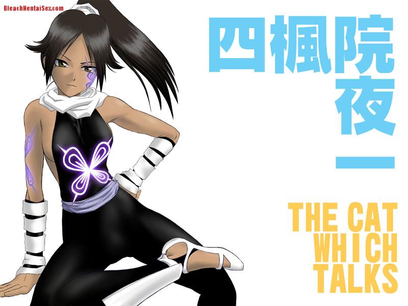 Bleach: Soul Carnival