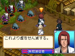 DS Screenshots