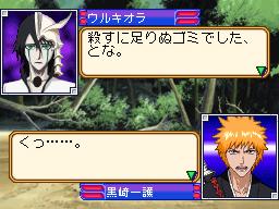 DS Screenshots