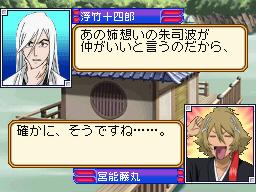 DS Screenshots