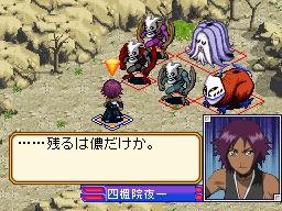 DS Screenshots