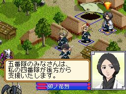 DS Screenshots