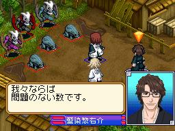 DS Screenshots