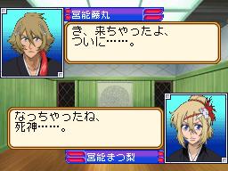 DS Screenshots