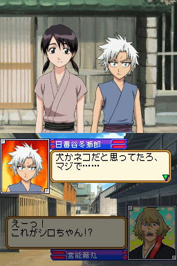 DS Screenshots