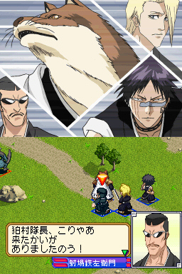 DS Screenshots