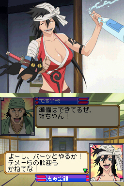 DS Screenshots
