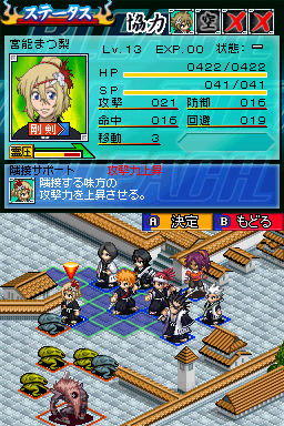 DS Screenshots
