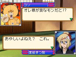 DS Screenshots
