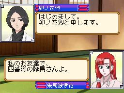 DS Screenshots