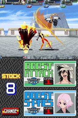 DS Screenshots