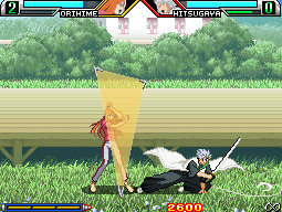 DS Screenshots