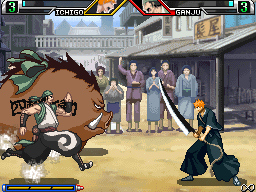DS Screenshots